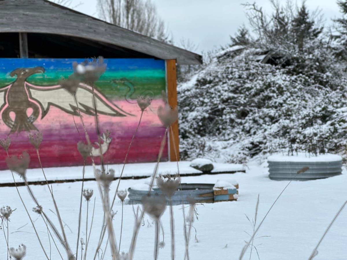 We are able to observe something different every day in the garden.