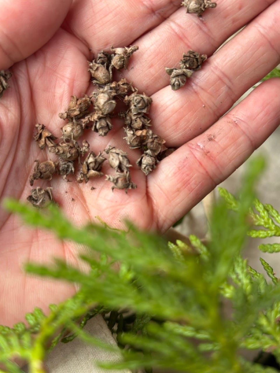 Artmaking yields byproducts and these byproducts are useful.