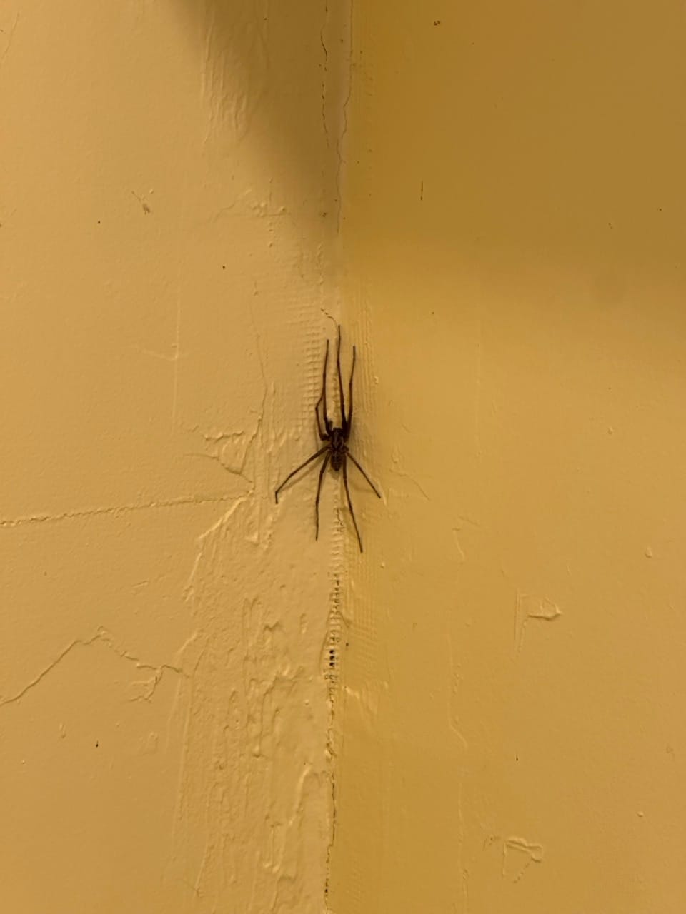 Previously unseen collaborators will not go unnoticed.