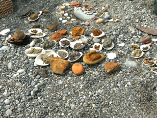 Everyone is an artist. Everyone is a steward.