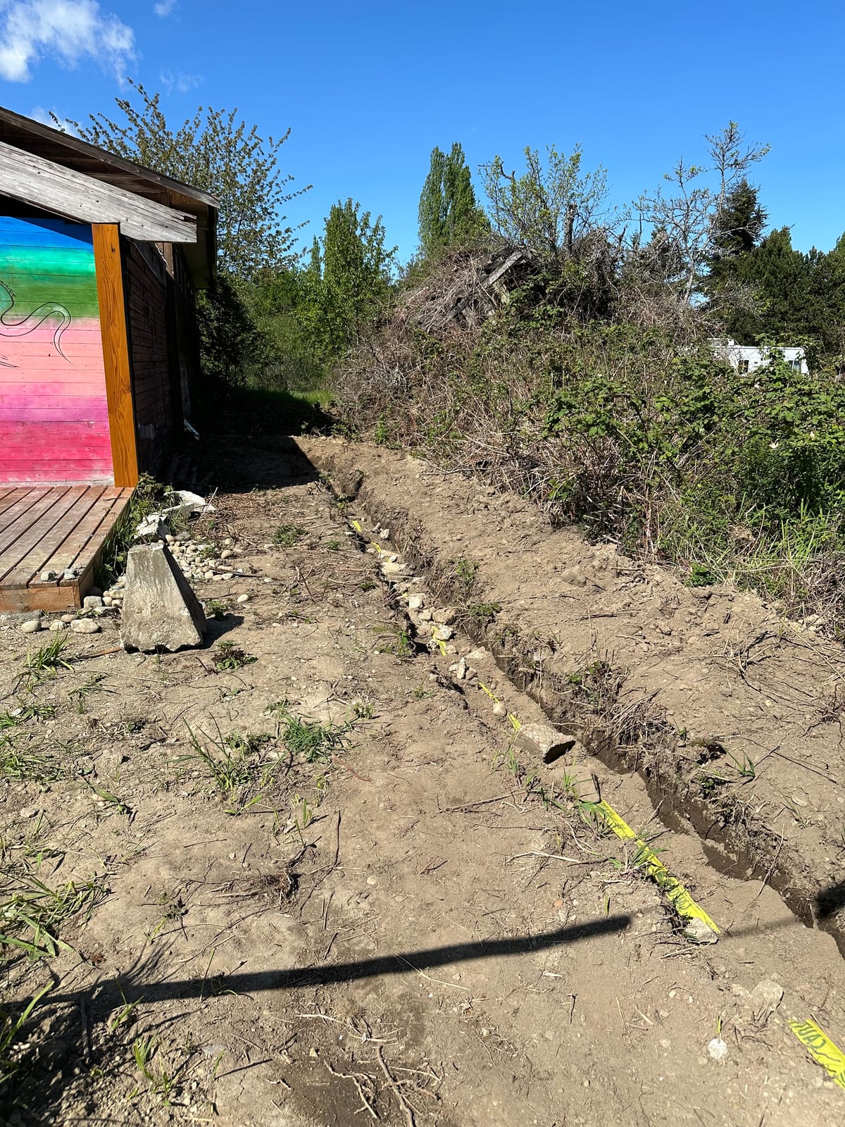 Every source of power is an art material.