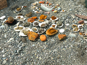 Wild Pigments with Tilke Elkins